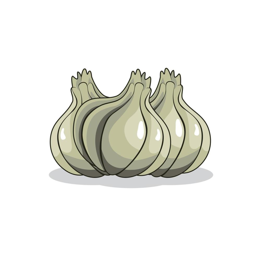 Garlic design illustration vector