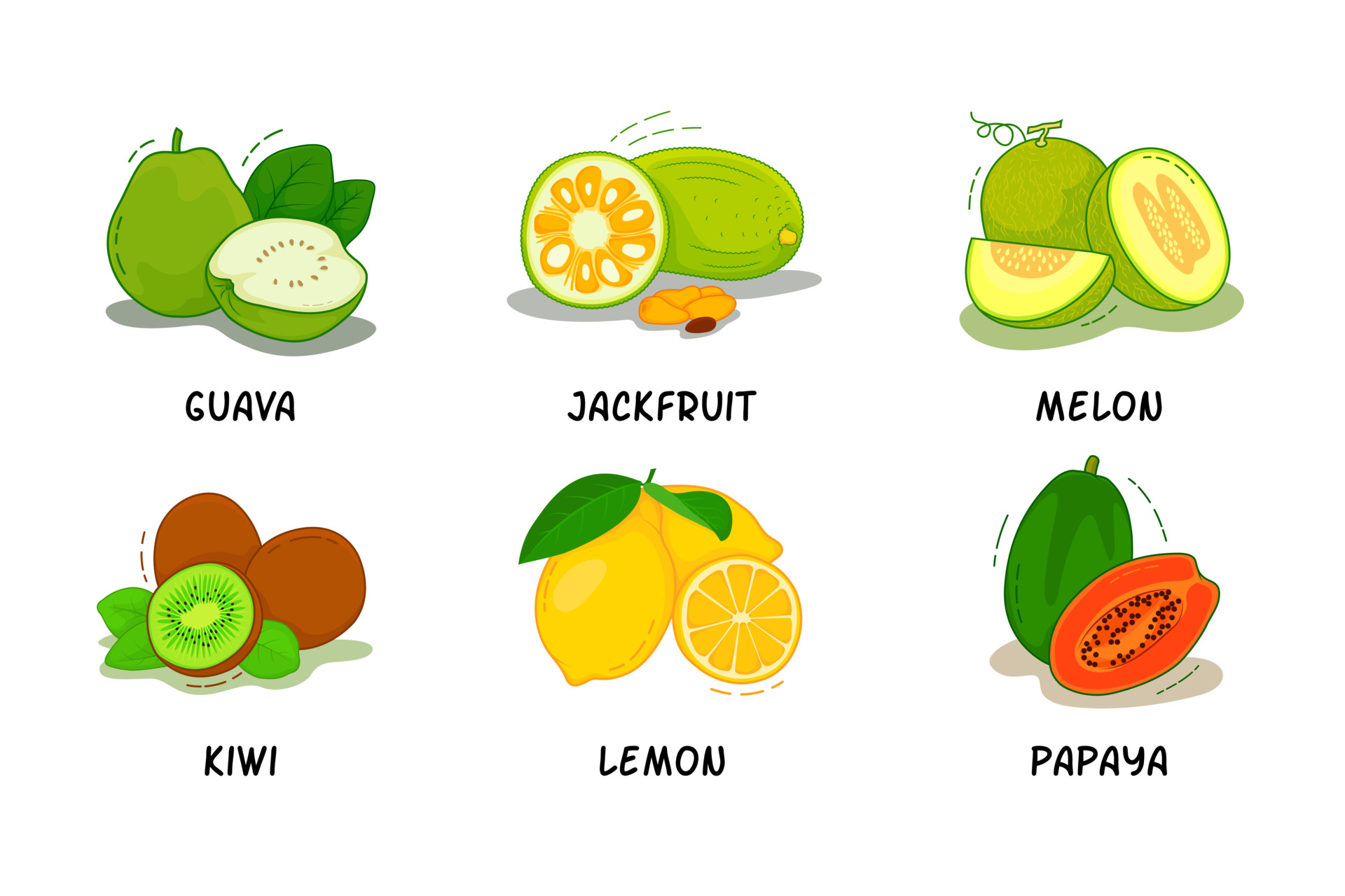 Fruits, Fruits Collection, Guava, Jackfruit, Melon, Kiwi, Lemon, Papaya 3519981 Vector Art at