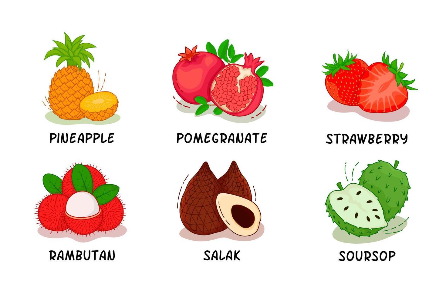 Fruits, Fruits Collection, Pineapple, Pomegranate, Strawberry, Rambutan, Salak, Soursop vector