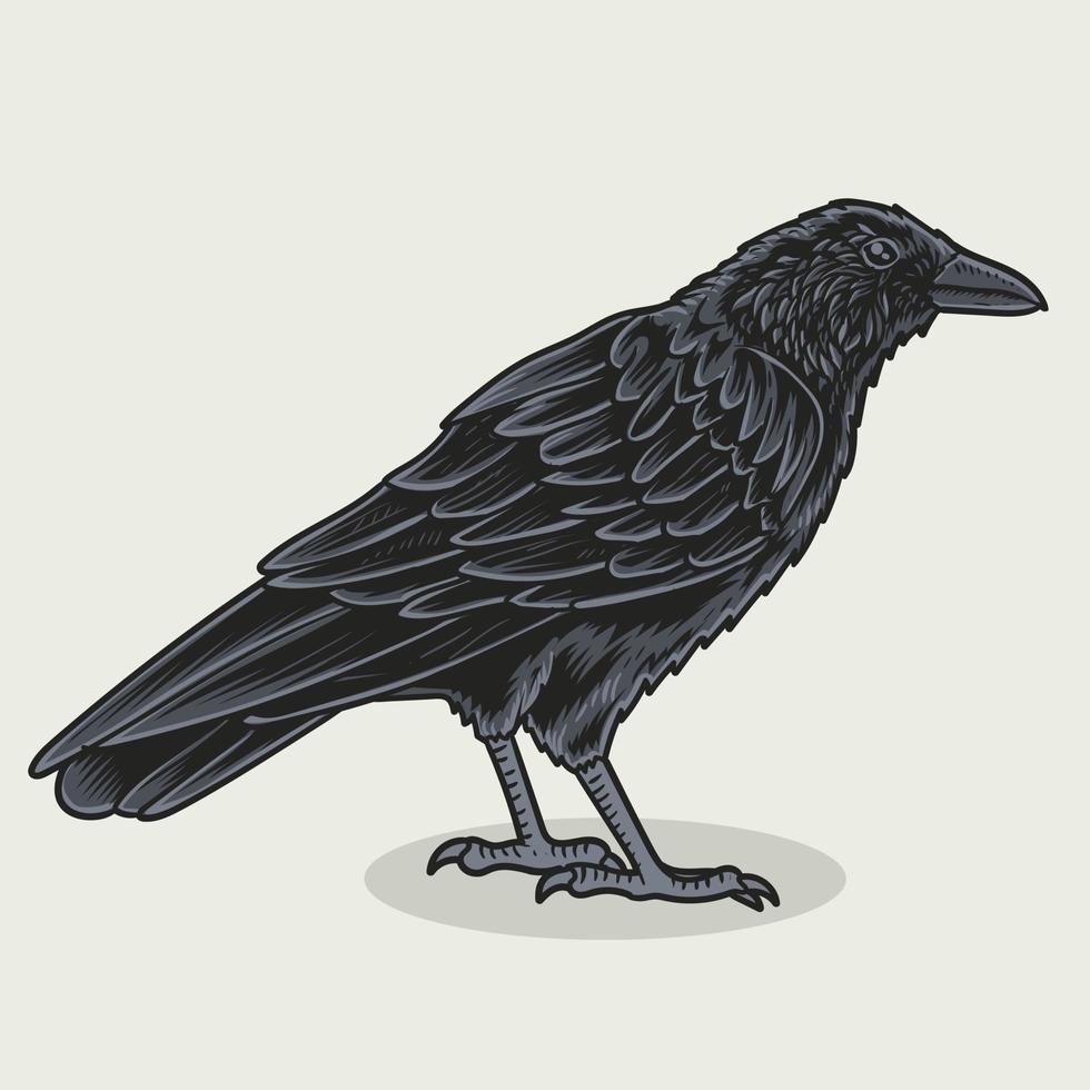 illustration crow bird o white background vector