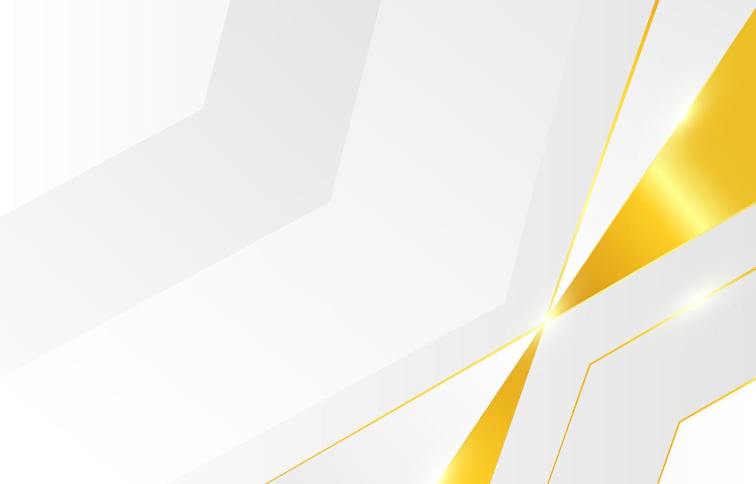 White Luxury Background vector