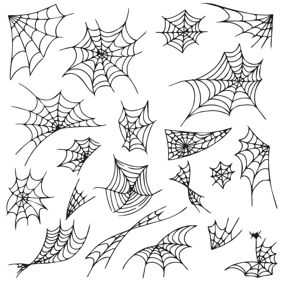 Build a spider web element for the holiday Halloween - Vector