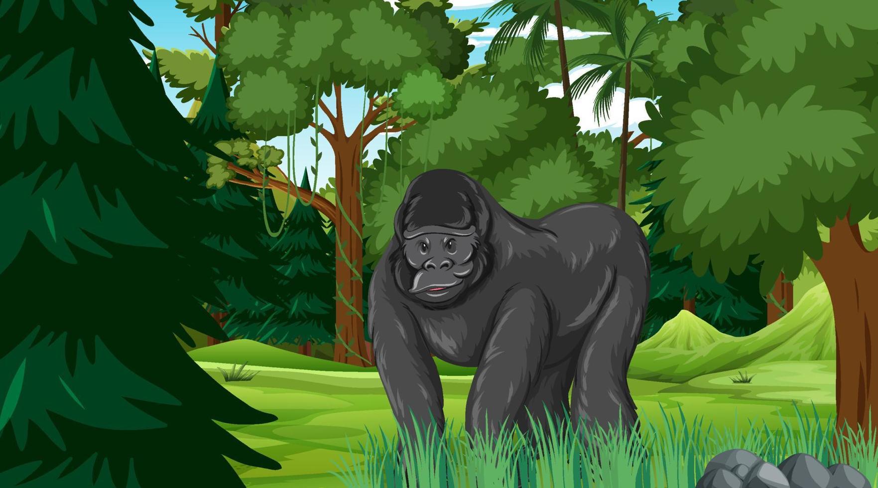 Gorilla in forest or rainforest scene with many trees vector