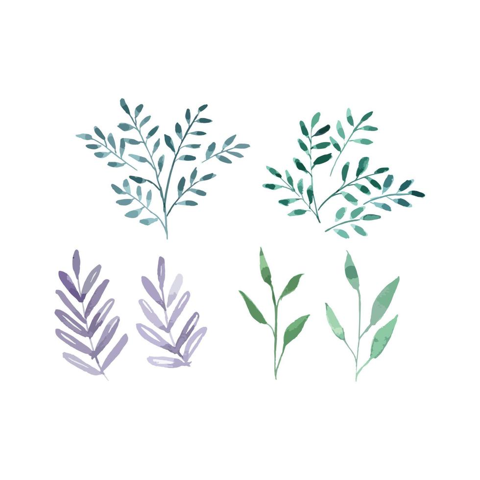 Leaves watercolor  vector