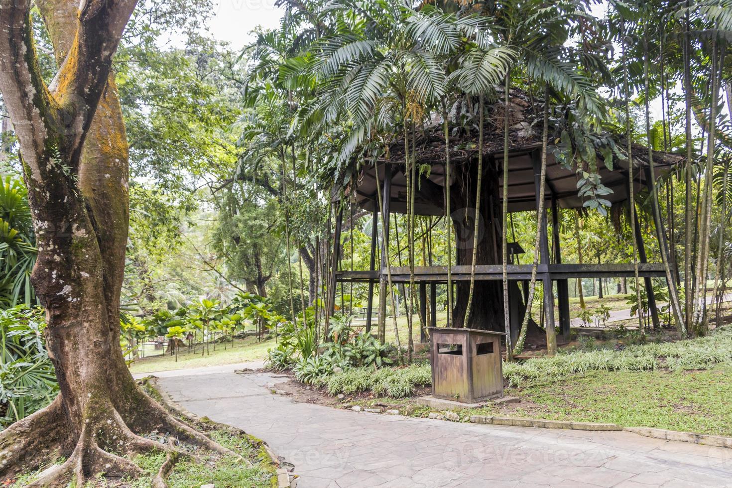 Jardín oasis en los jardines botánicos de Perdana en Kuala Lumpur, Malasia. foto