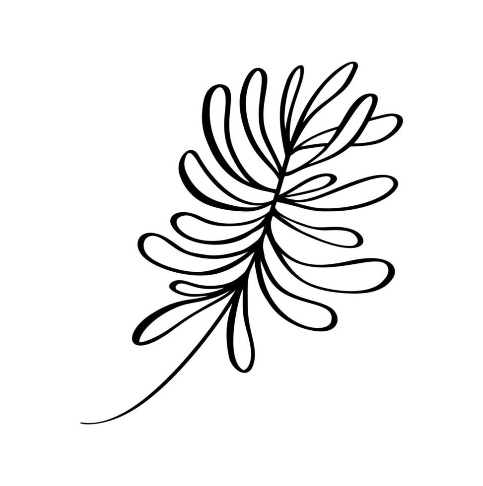 Modern grass leaf vector abstrac illustration. Black and white line art style. Isolated Exotic jungle contemporary trendy illustration. Perfect for posters, instagram posts, stickers