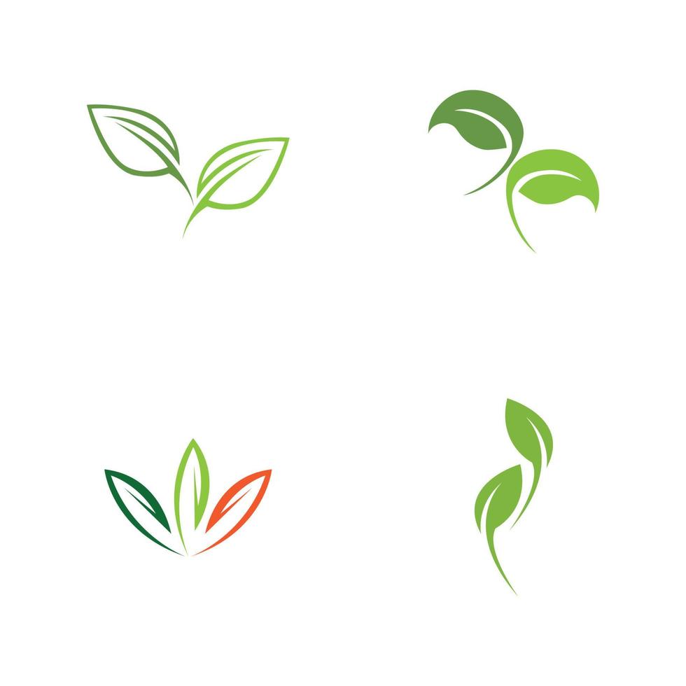 logotipos de vector de elemento de naturaleza ecología de hoja verde