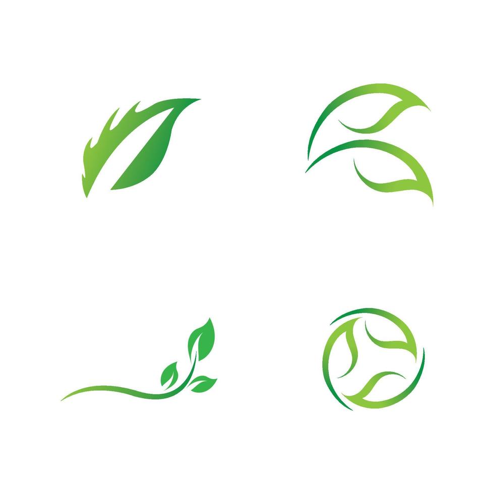 logotipos de vector de elemento de naturaleza ecología de hoja verde