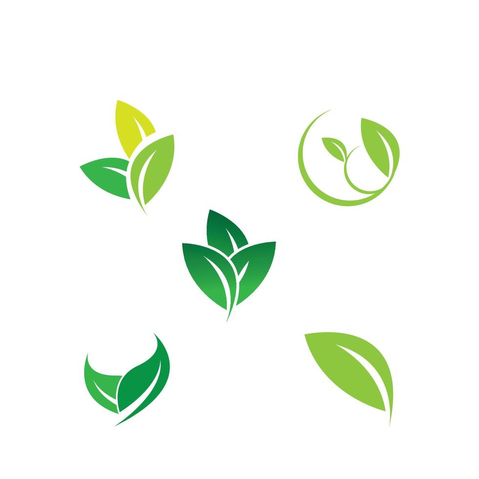 leaf logo vector