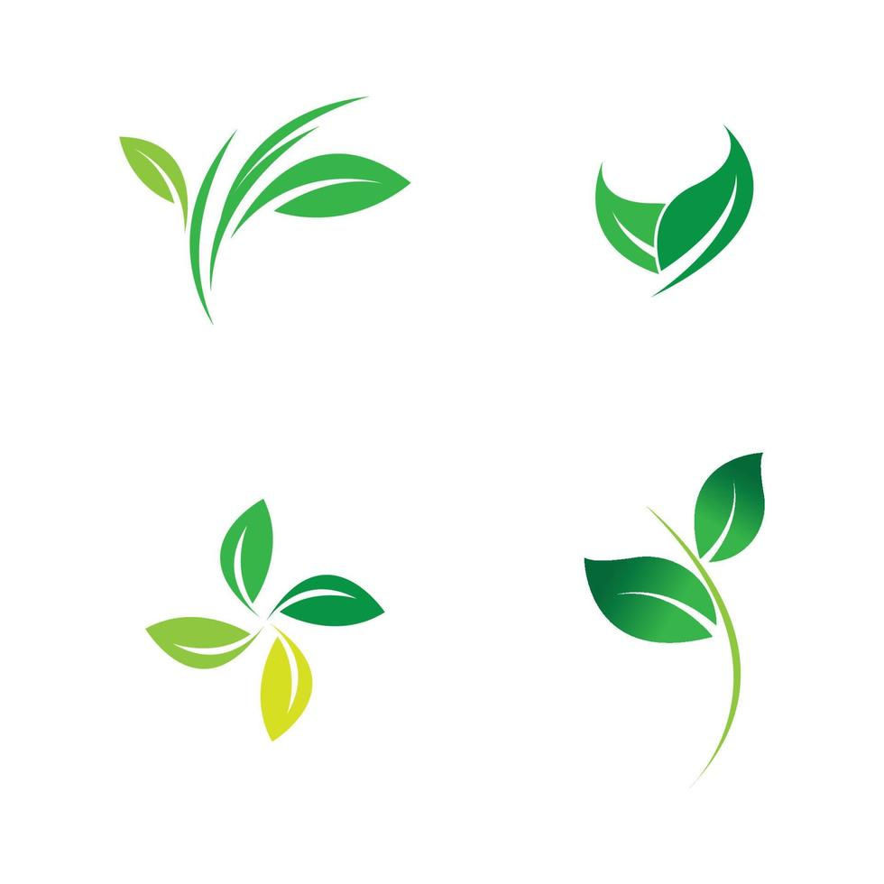 leaf logo vector