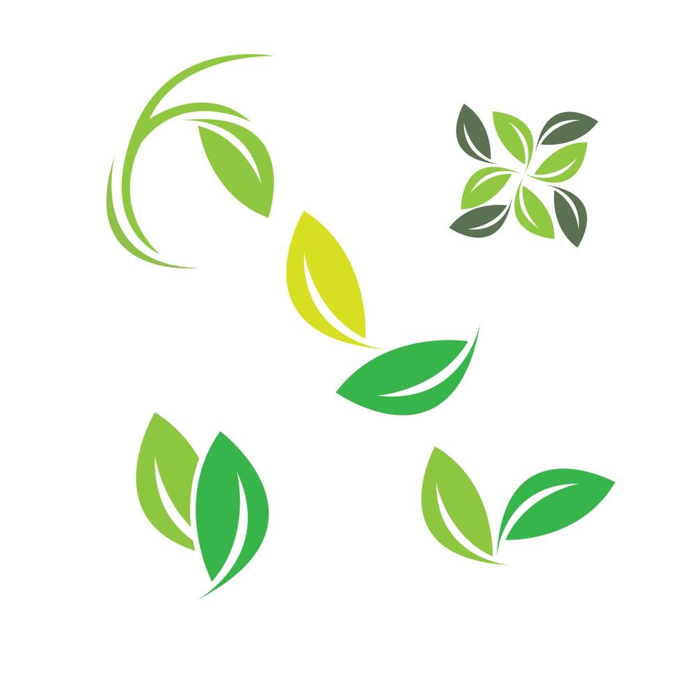 leaf logo vector