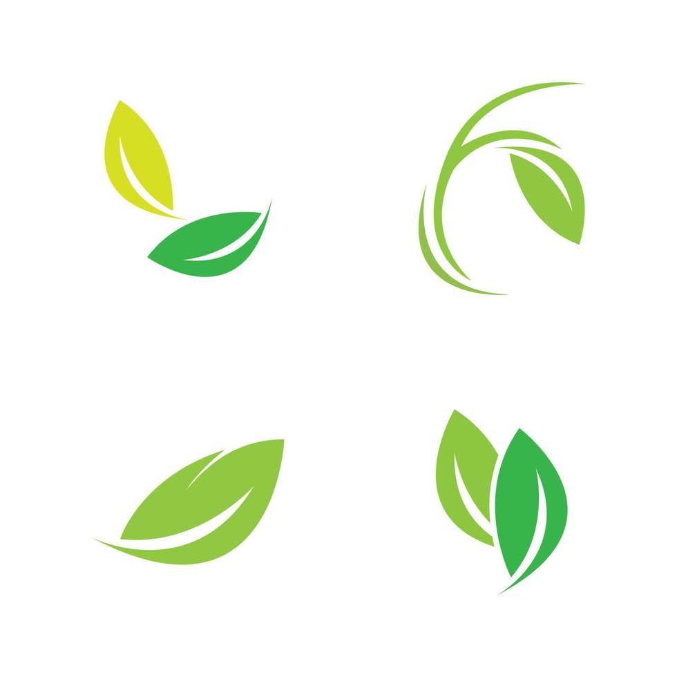 leaf logo vector