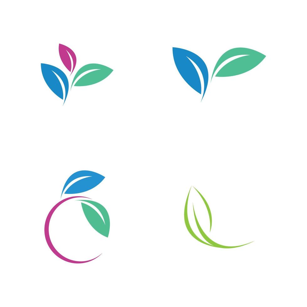 leaf logo vector