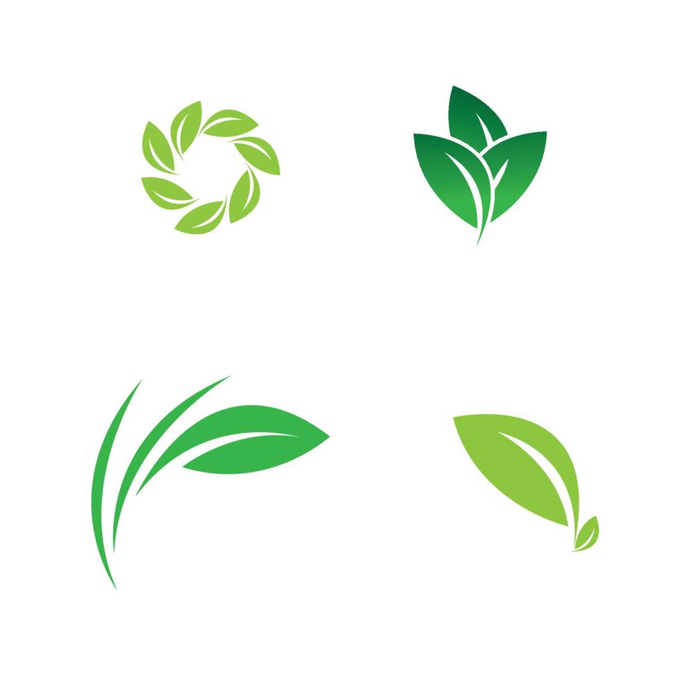 leaf logo vector