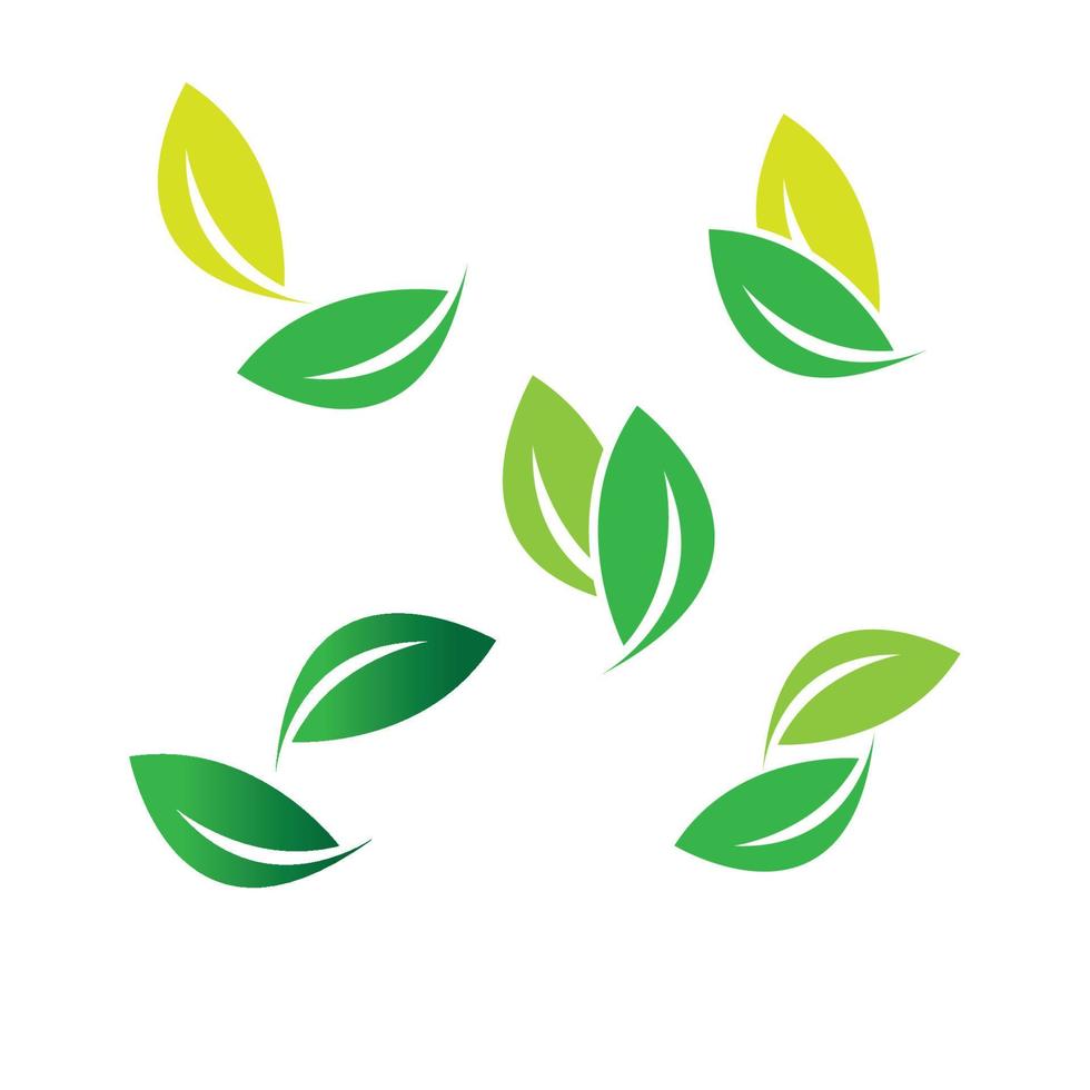 leaf logo vector