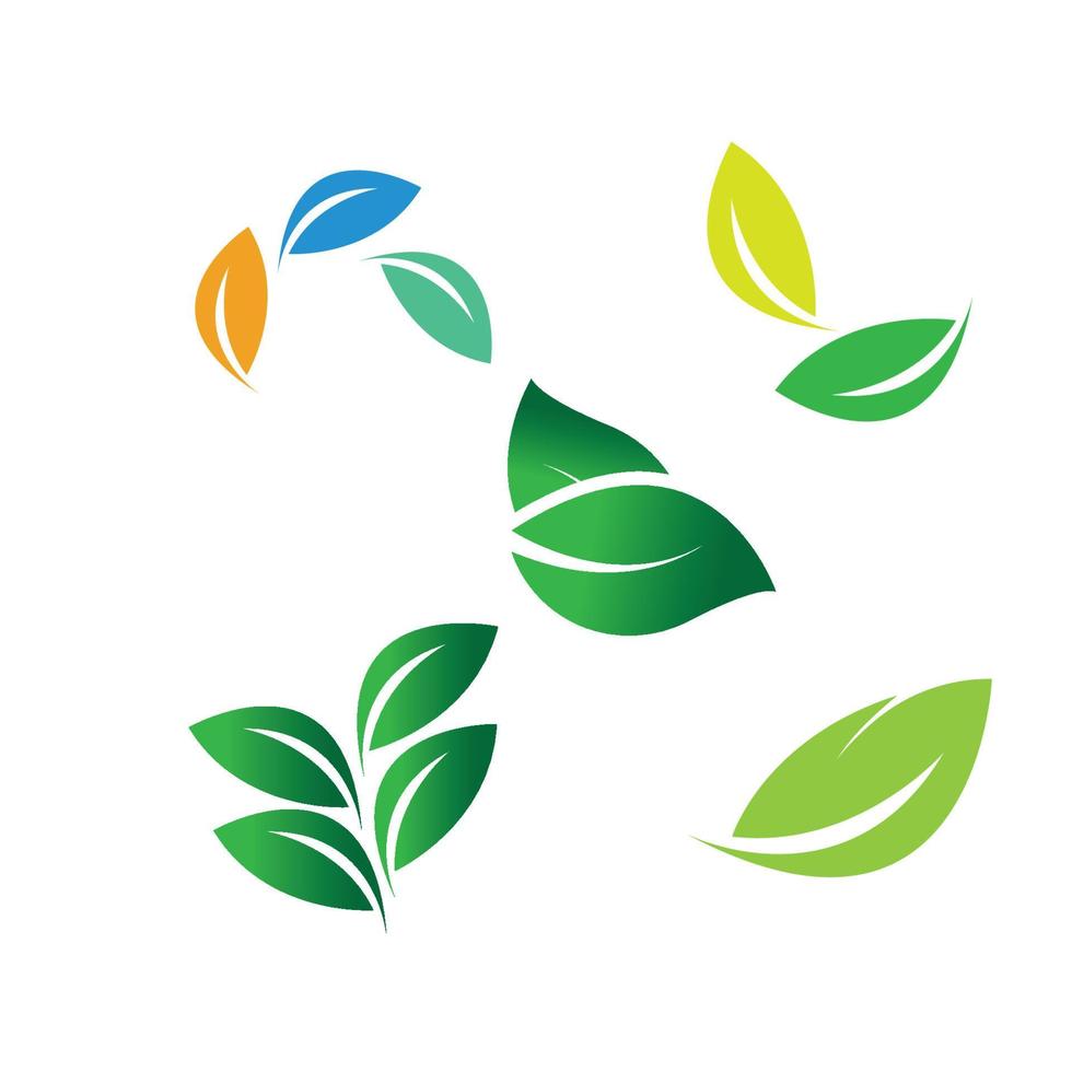 leaf logo vector