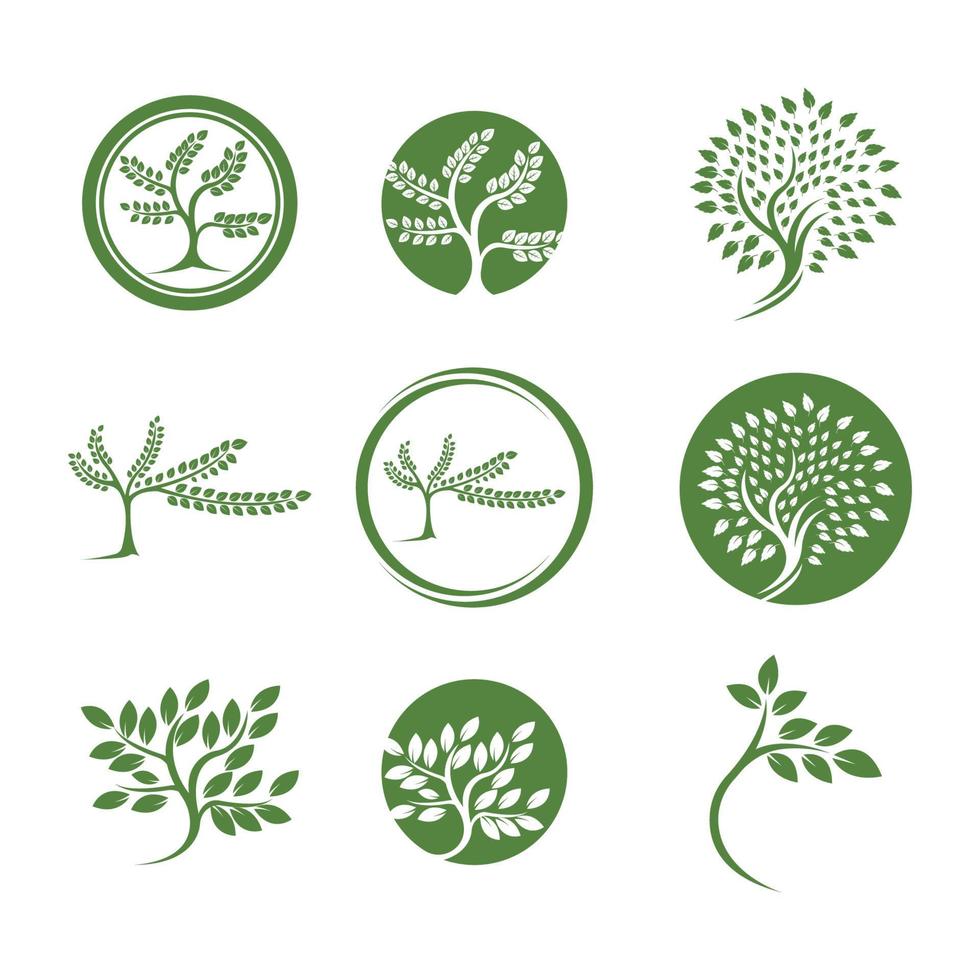 tree logo vector