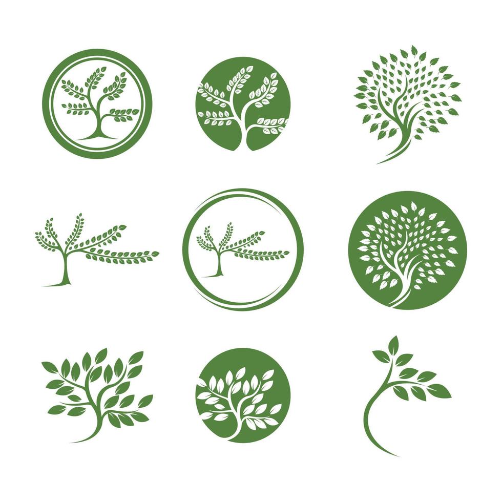 tree logo vector