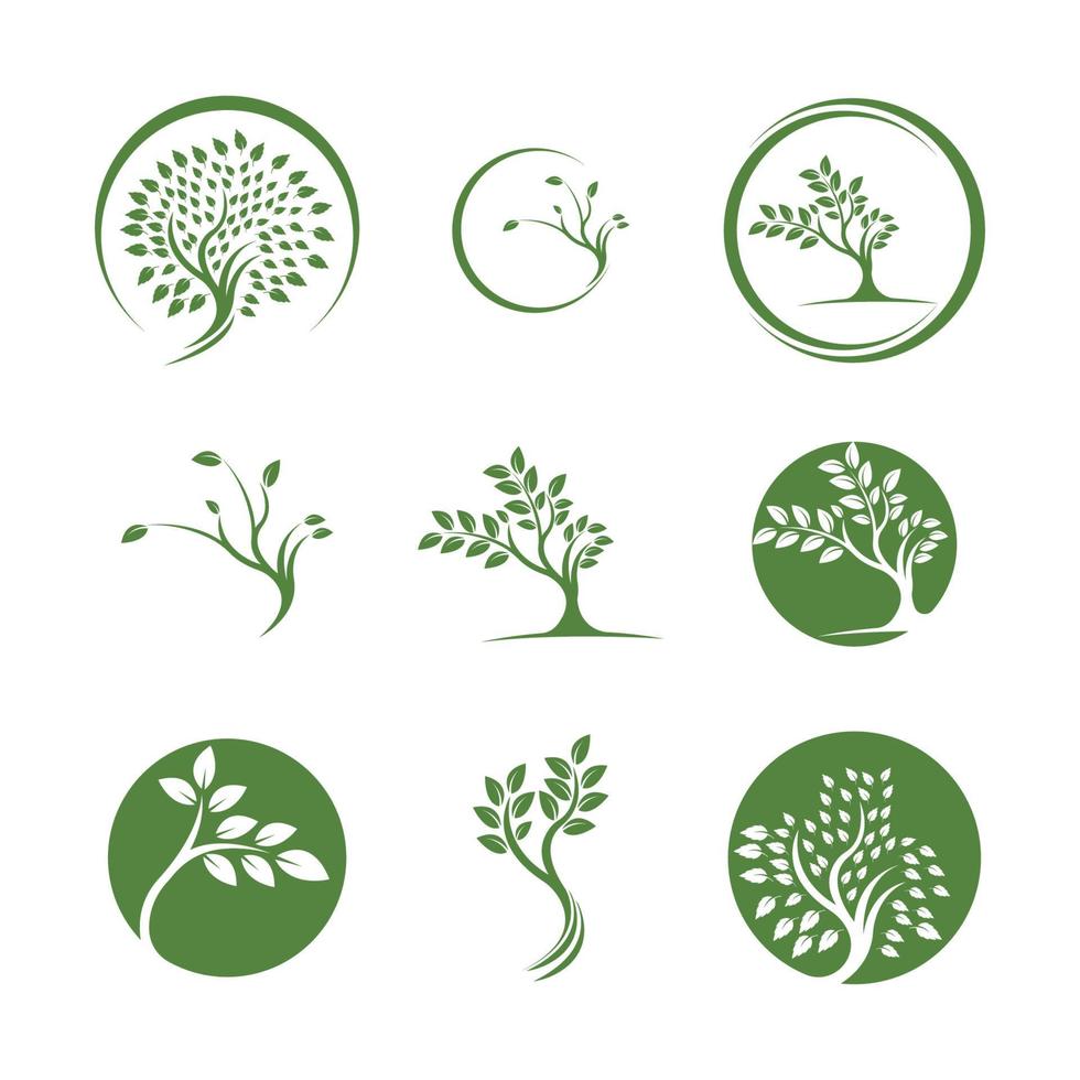 tree logo vector