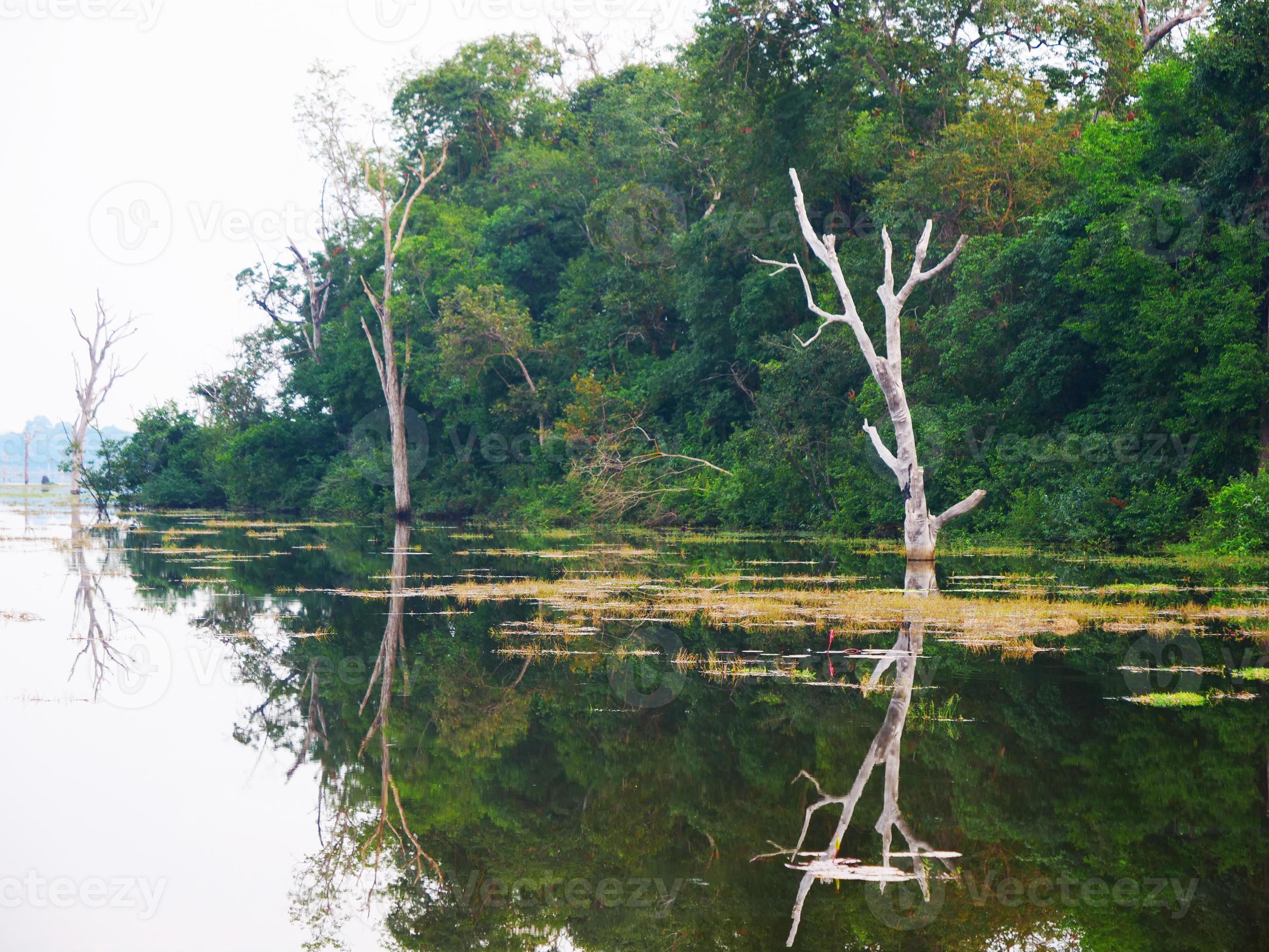 lake pond at Neak Poan in Angkor Wat complex, Siem Reap Cambodia. 3527482  Stock Photo at Vecteezy