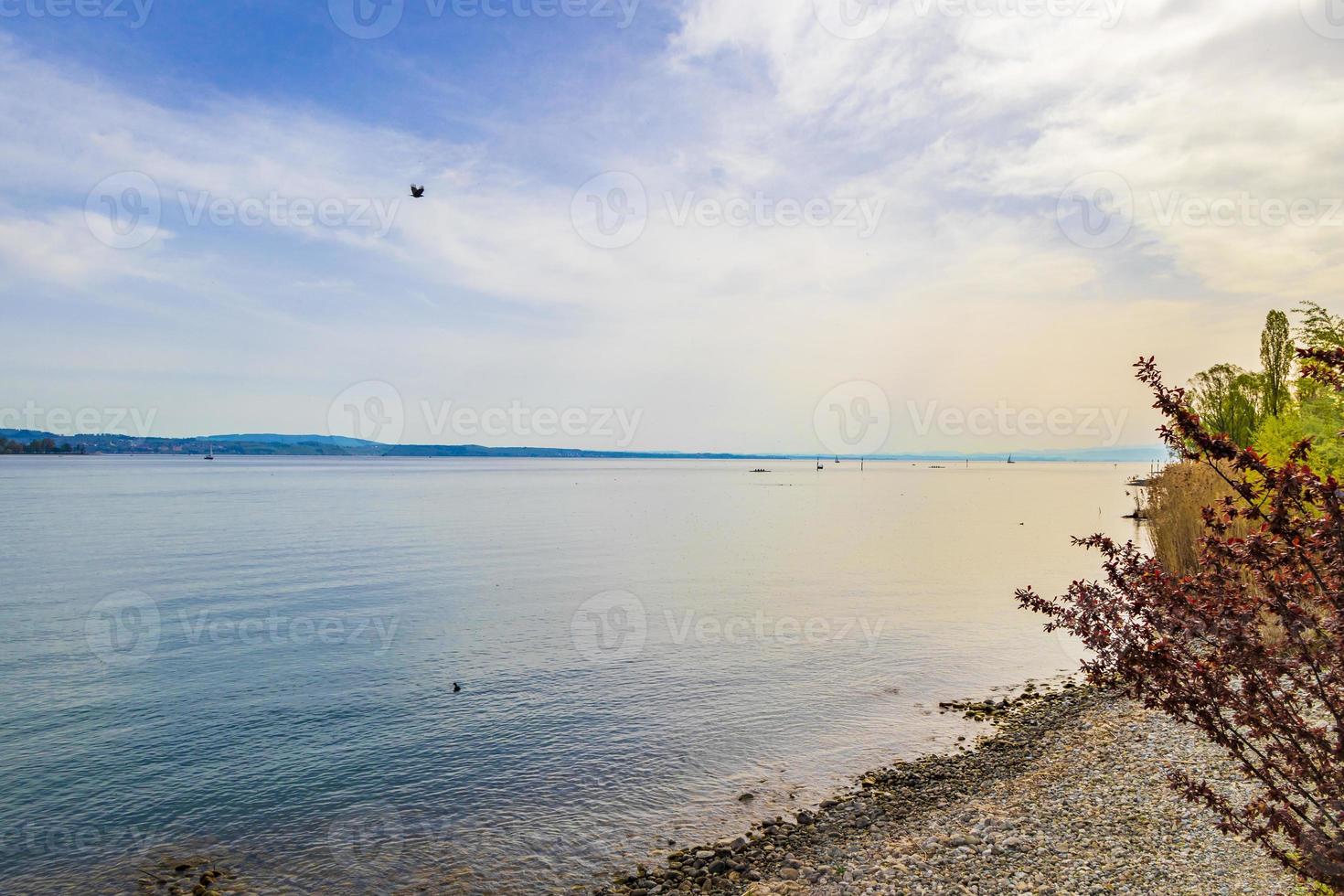 Lago de Constanza o Bodensee, Thurgau, Suiza foto