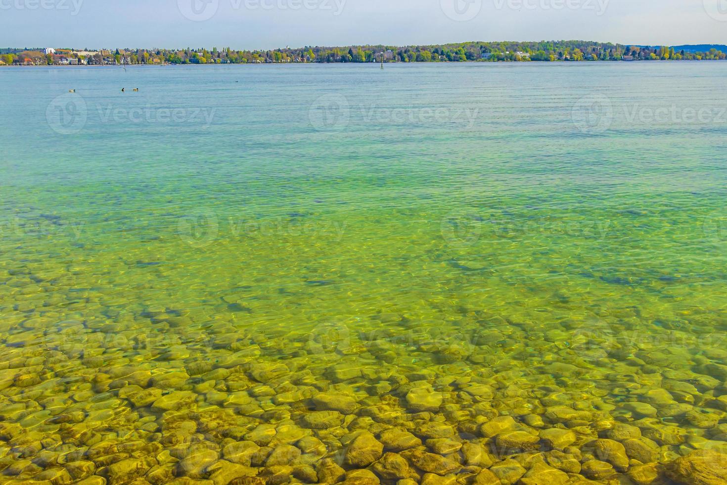 Lake Constance or Bodensee, Thurgau, Switzerland photo