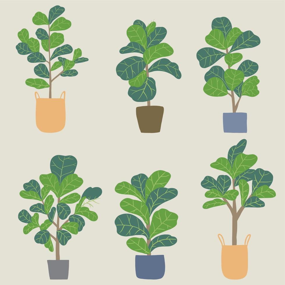 Doodle freehand sketch drawing of fiddle leaf fig tree collection. vector