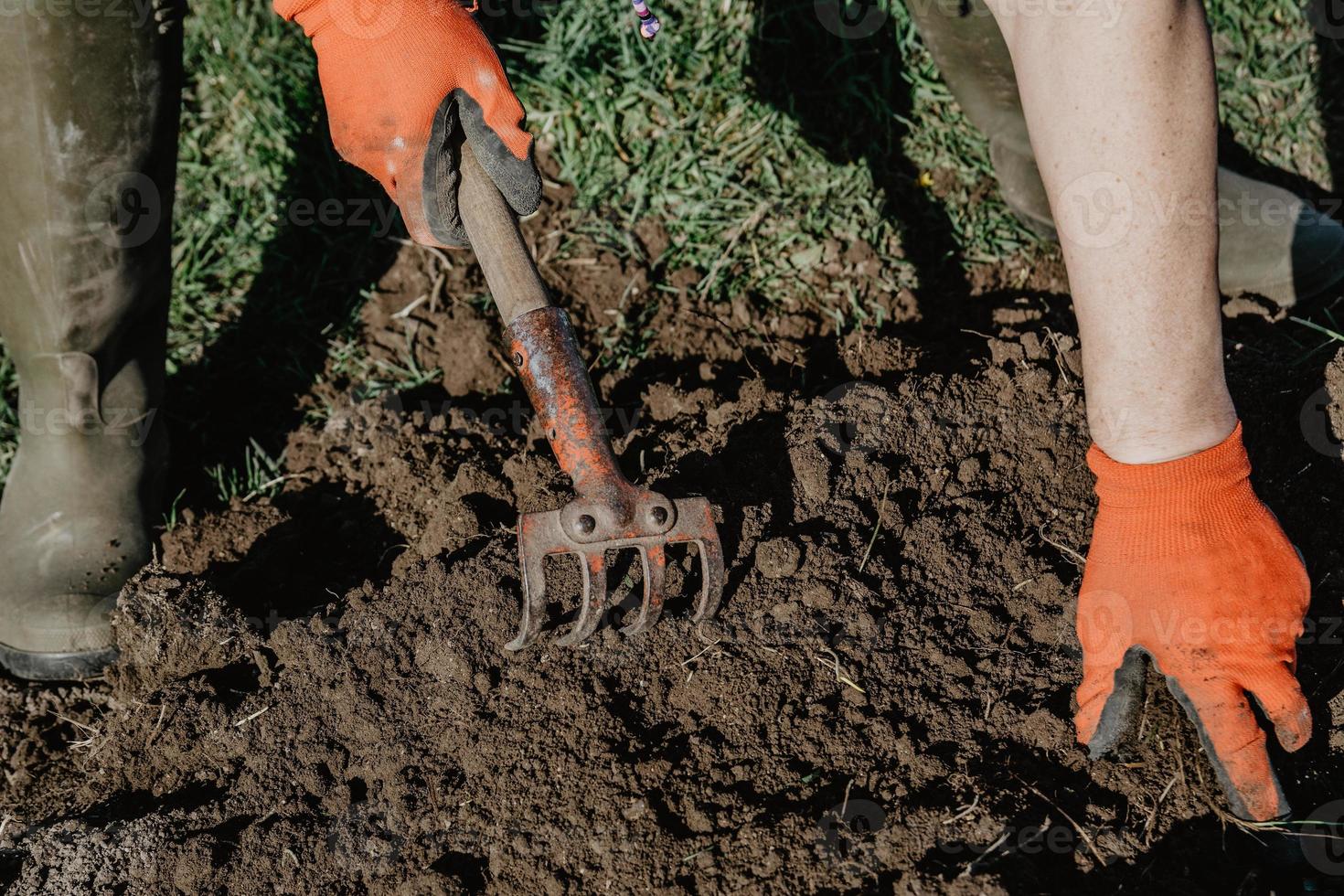 agricultor prepara la tierra para plantar con la herramienta de arado en primavera foto