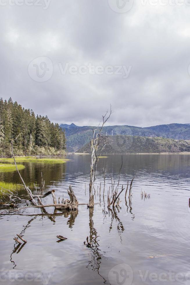 lake in Pudacuo national park in Shangri La, Yunnan Province, China photo