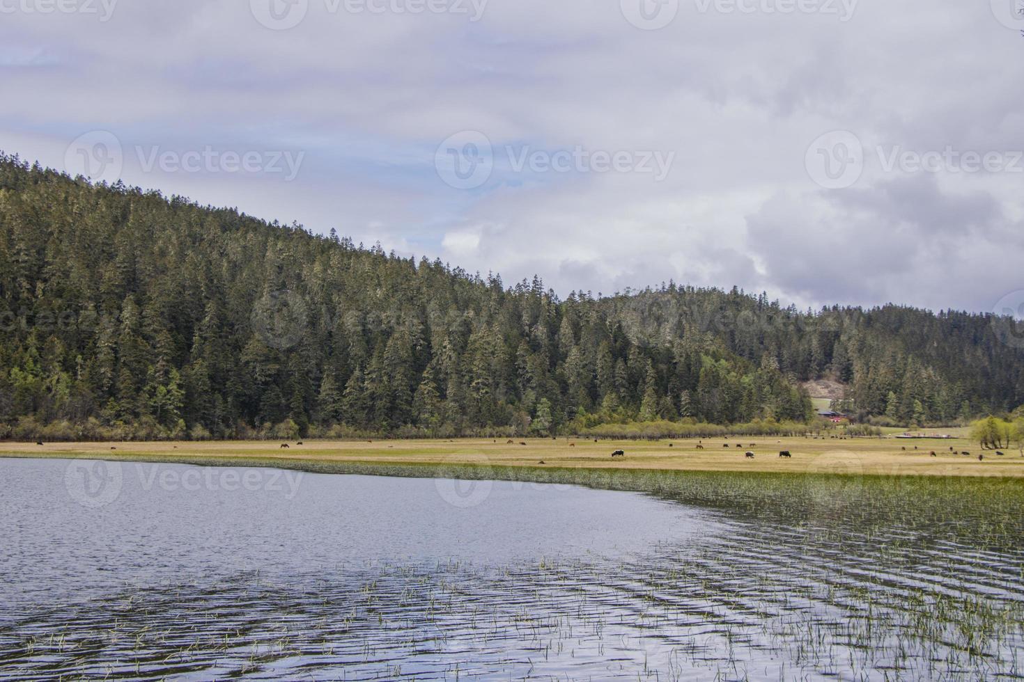Mountain lake in Pudacuo national park in Shangri La, Yunnan Chinav photo