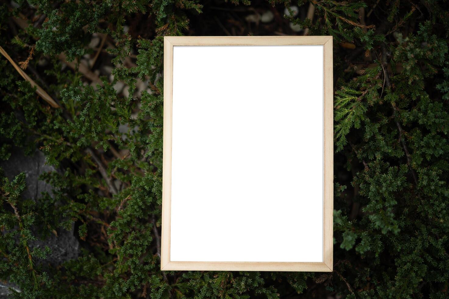 A white picture frame on a tree photo