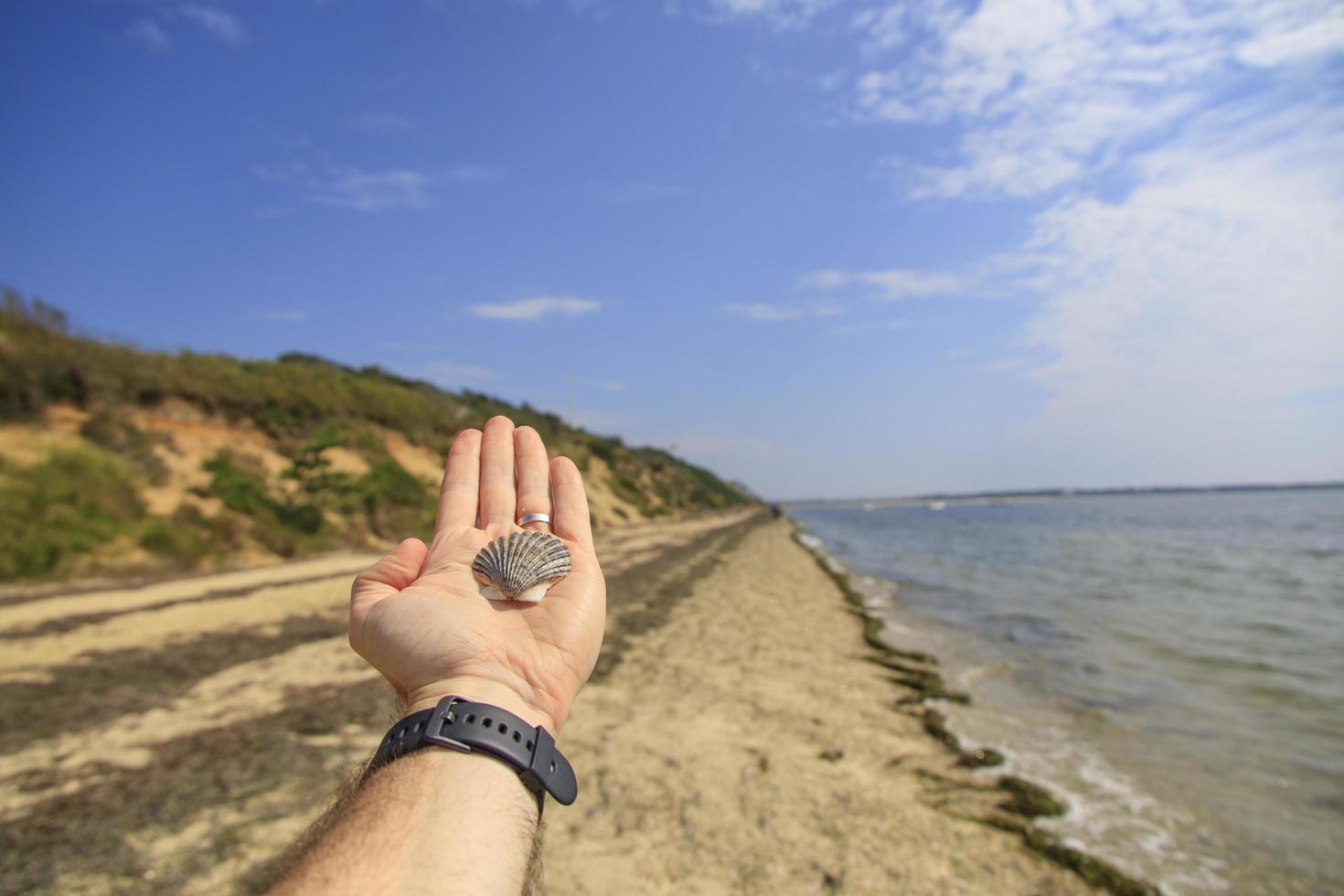 Hand holding a seashell on a sandy beach photo