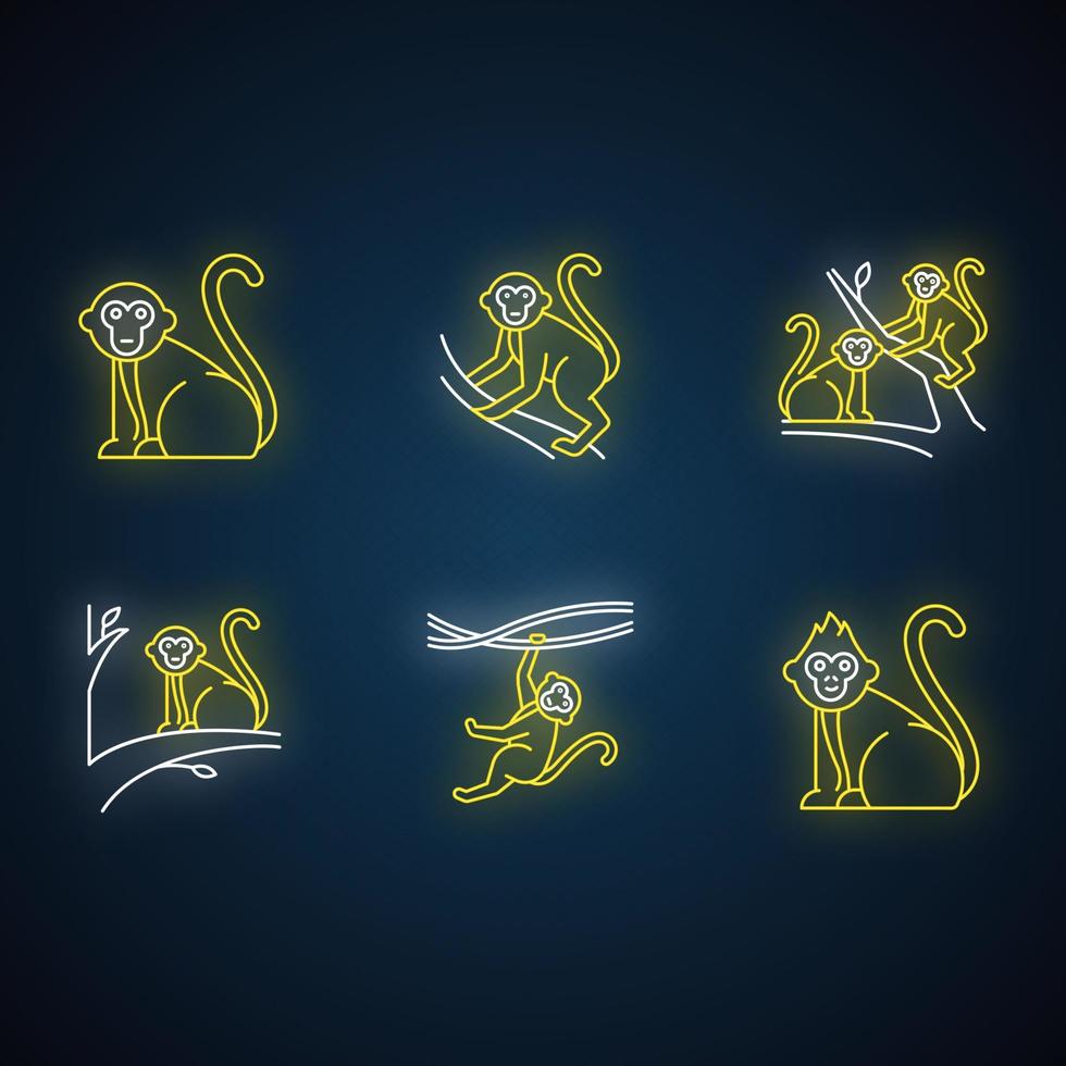 Monkeys in wild neon light icons set vector