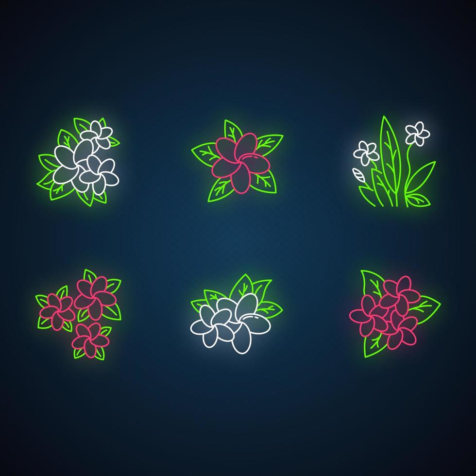 Plumeria neon light icons set vector