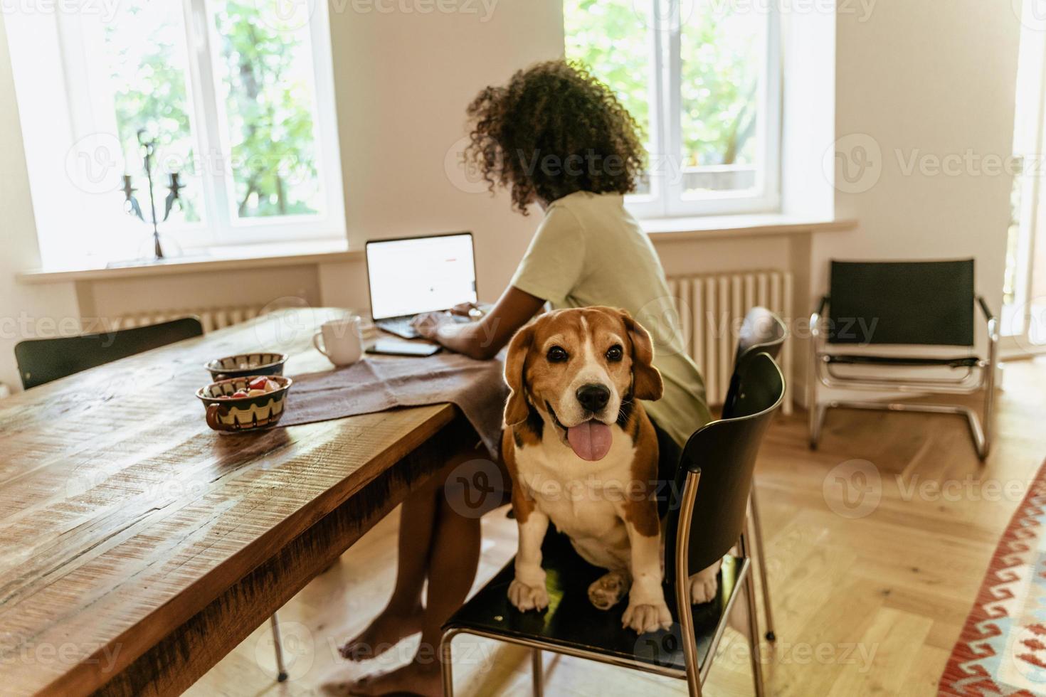 mujer joven negra que trabaja en la computadora portátil mientras está sentado con su perro en la mesa foto