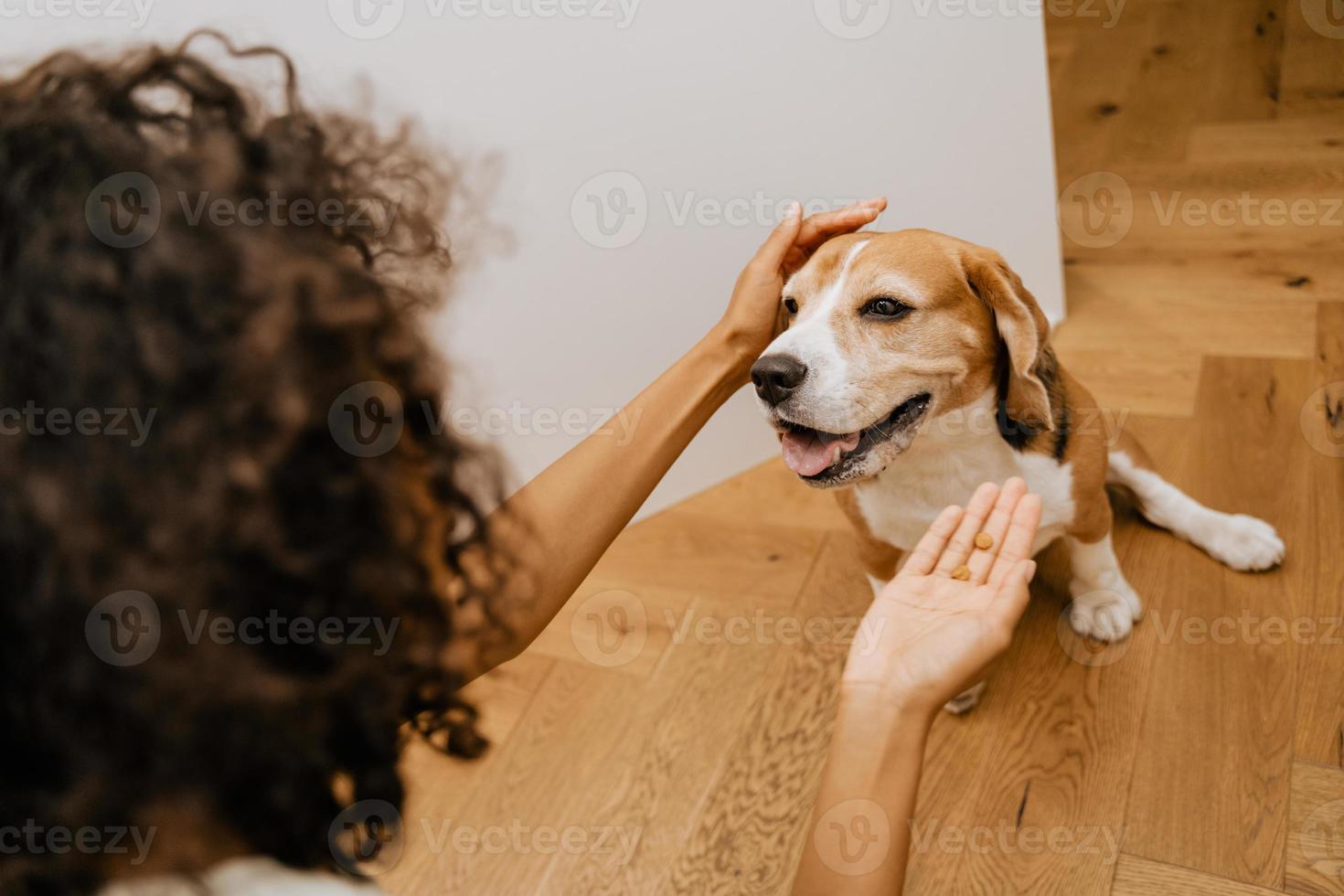 Black young woman smiling while feeding her dog photo