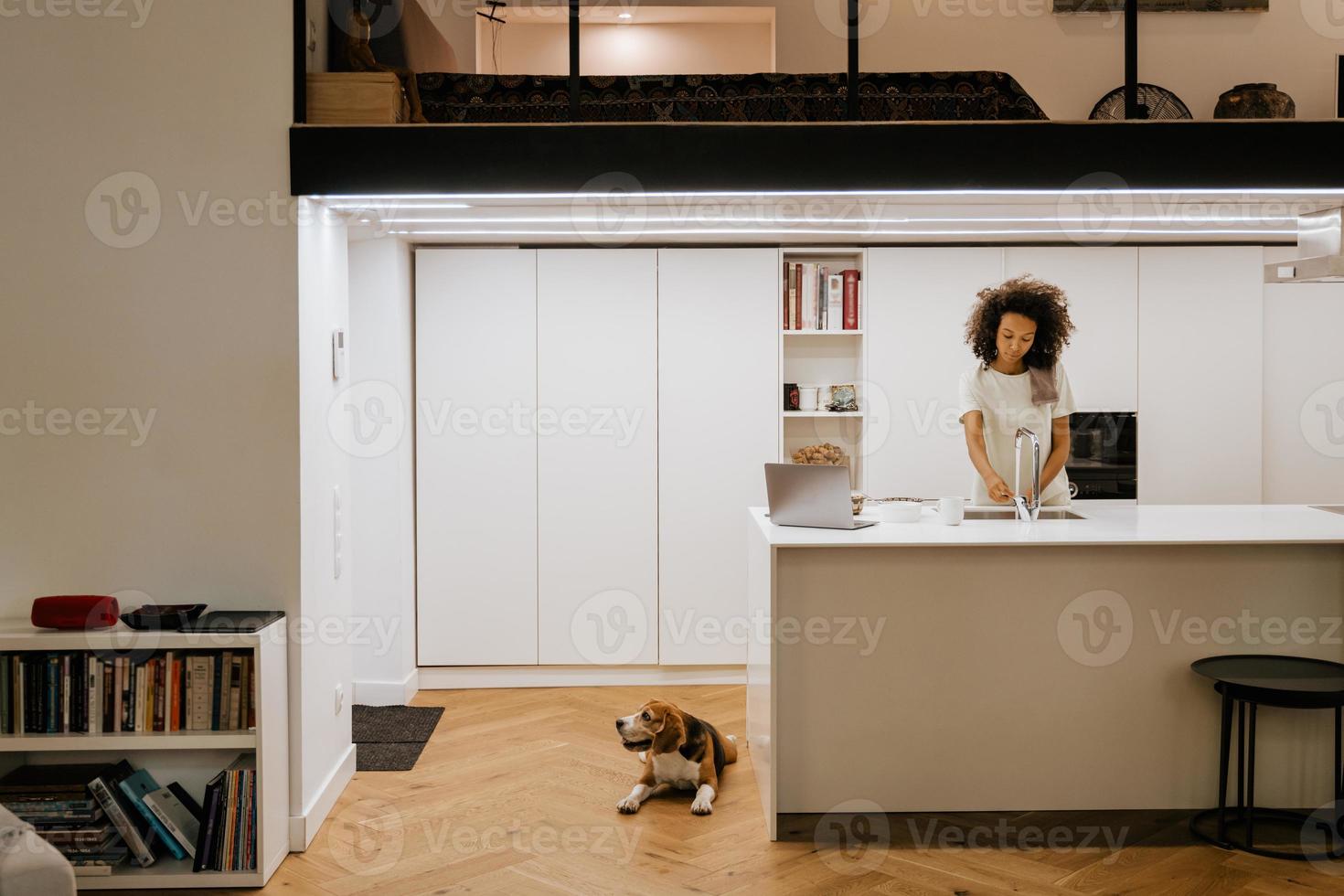 Black young woman washing dishes while using laptop in the kitchen with her dog photo