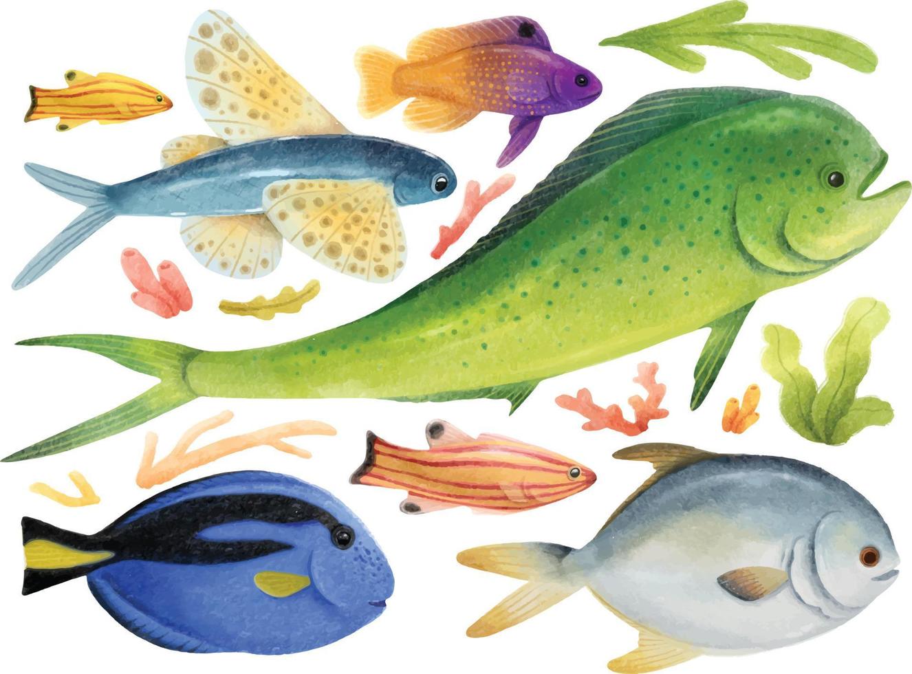 Set of sea fish watercolor hand painted vector