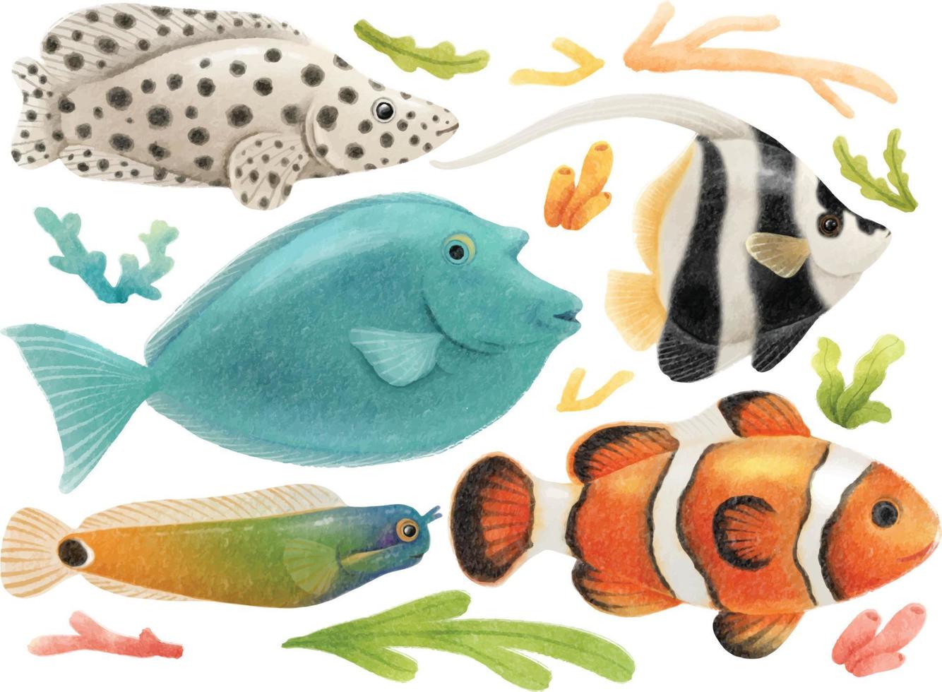 Set of sea fish watercolor hand painted vector