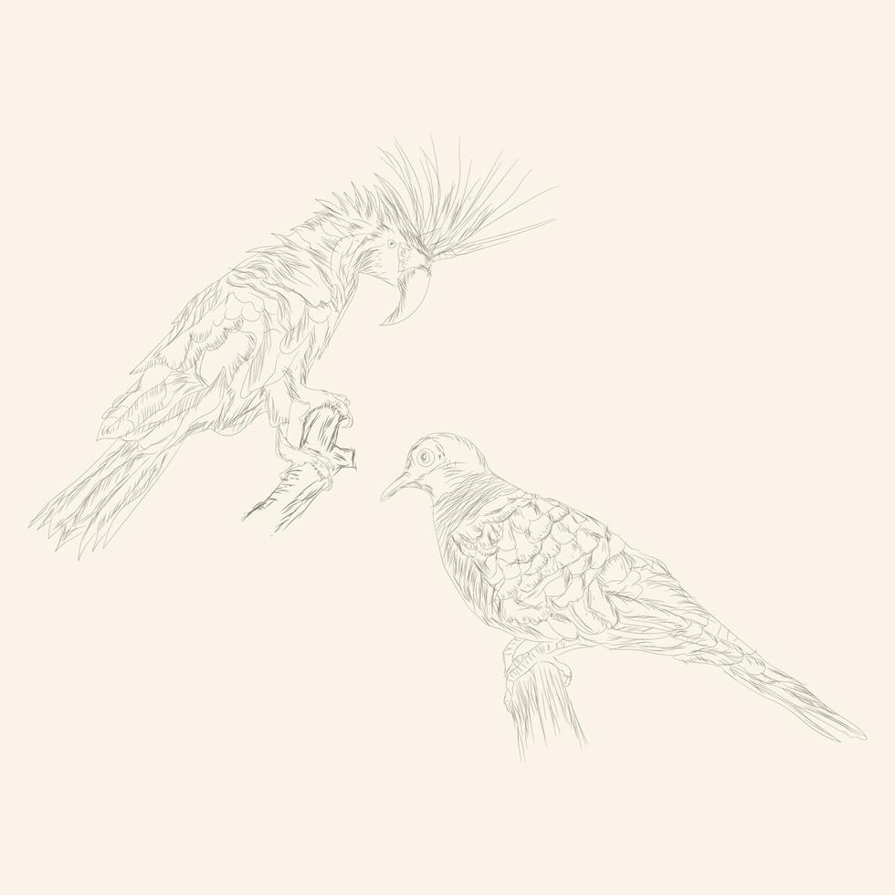 bird sketch facing each other vector