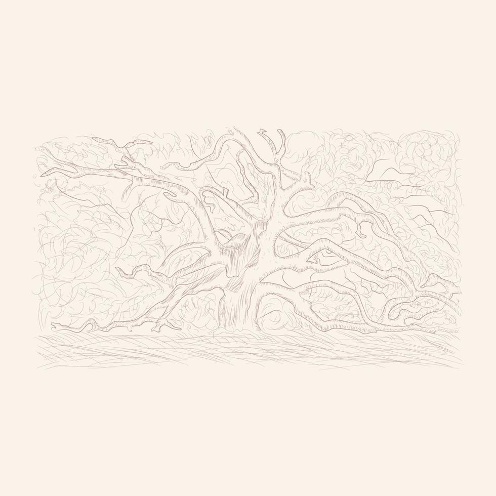 big old tree sketch vector