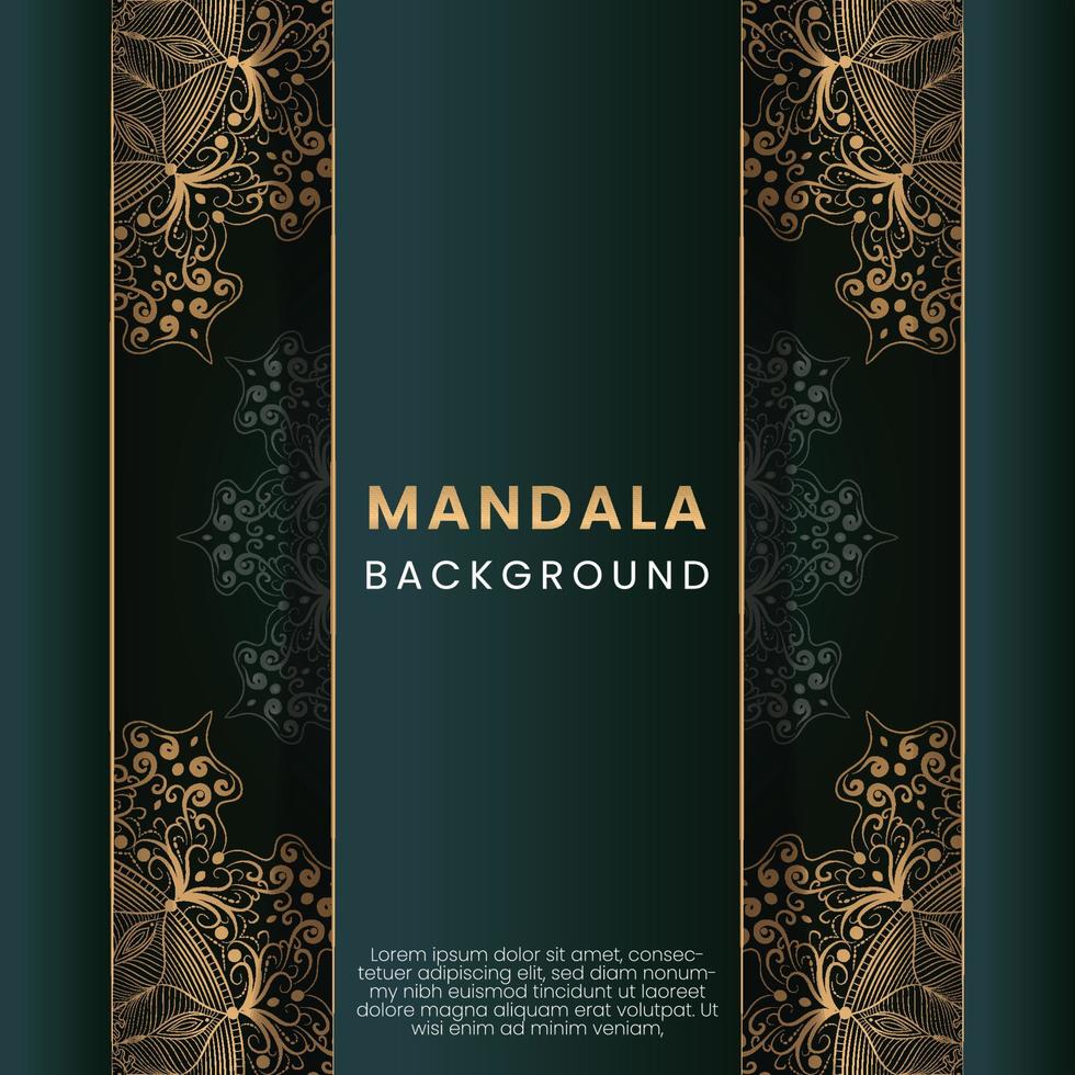 luxury mandala background vector