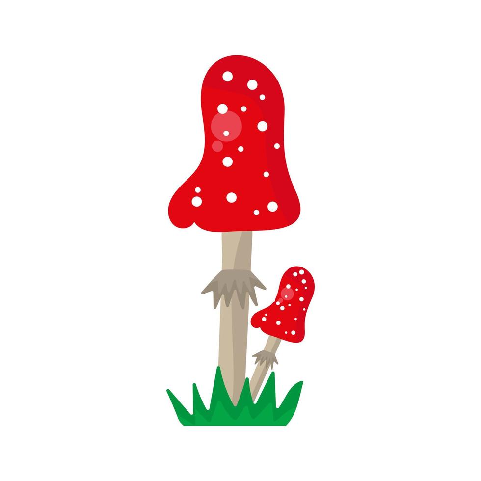 Amanita muscaria en pasto aislado sobre fondo blanco. Ilustración de vector dibujado a mano.