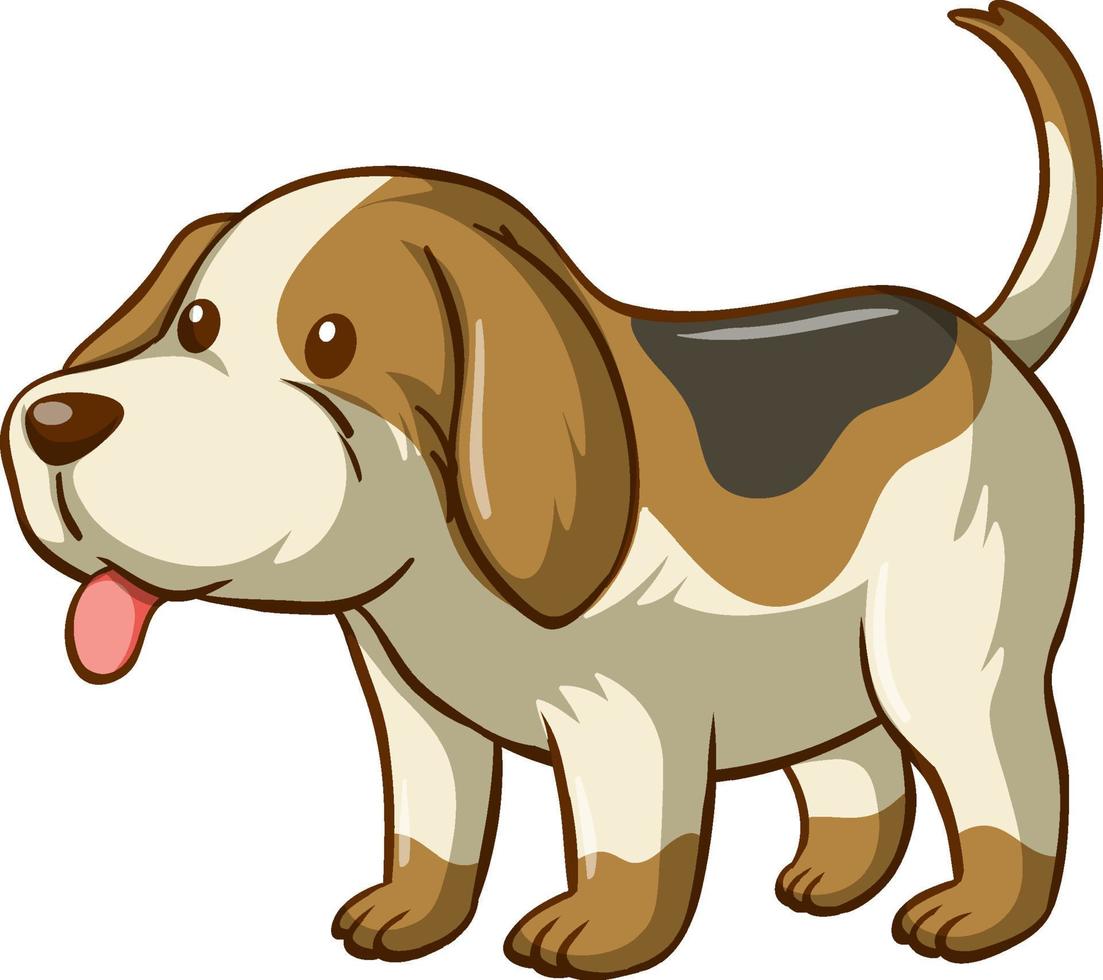 Beagle dog cartoon character on white background vector