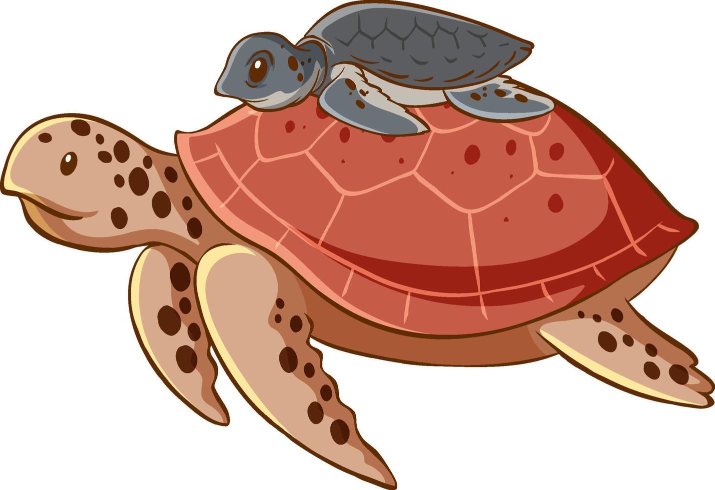 Big and small sea turtles animal cartoon on white background vector