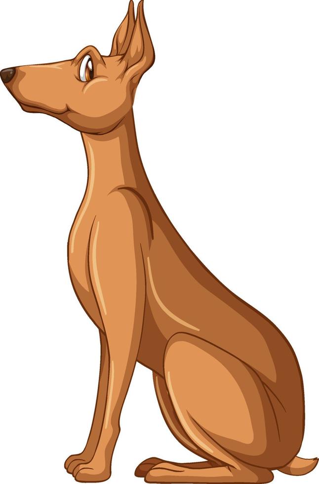 Doberman pinscher dog cartoon on white background vector