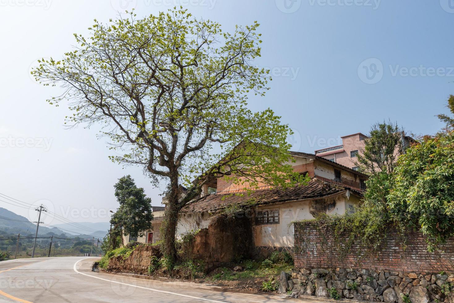 There is a tree beside the house by the road photo