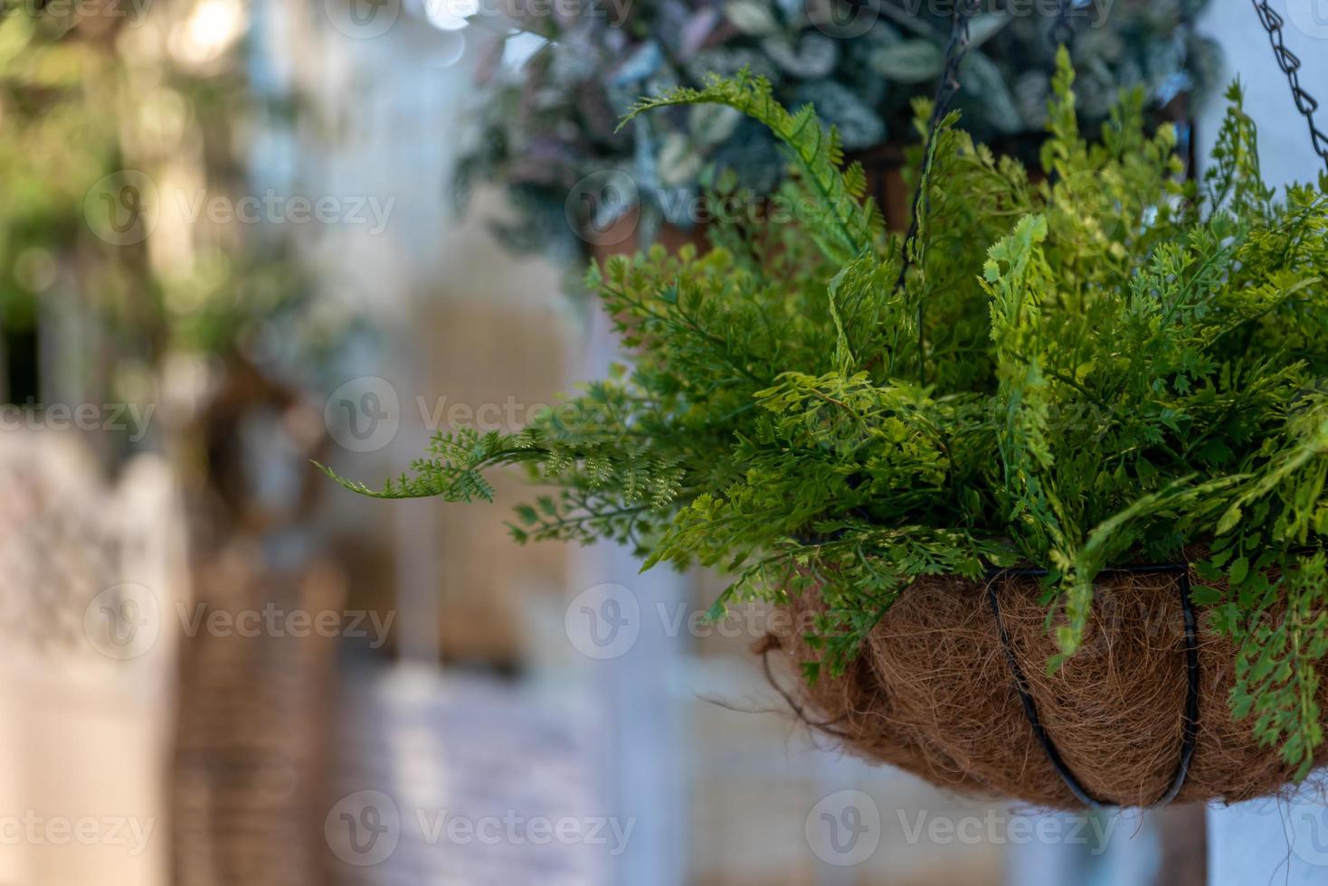 There are personalized decorations in the small corner of the coffee leisure shop photo