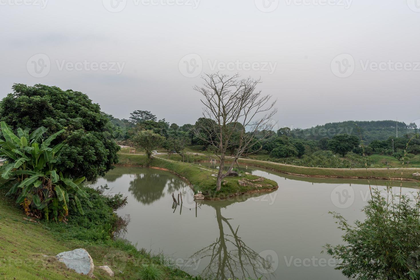 The artificial lake in the park and the roads and trees by the lake photo