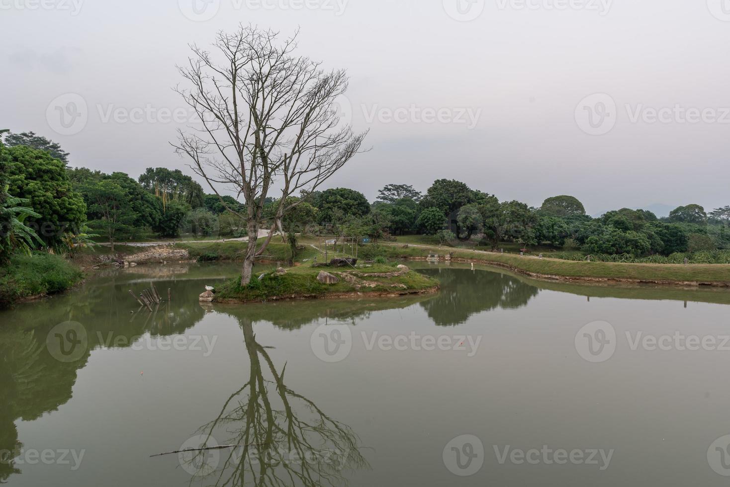 el lago artificial en el parque y los caminos y árboles junto al lago foto